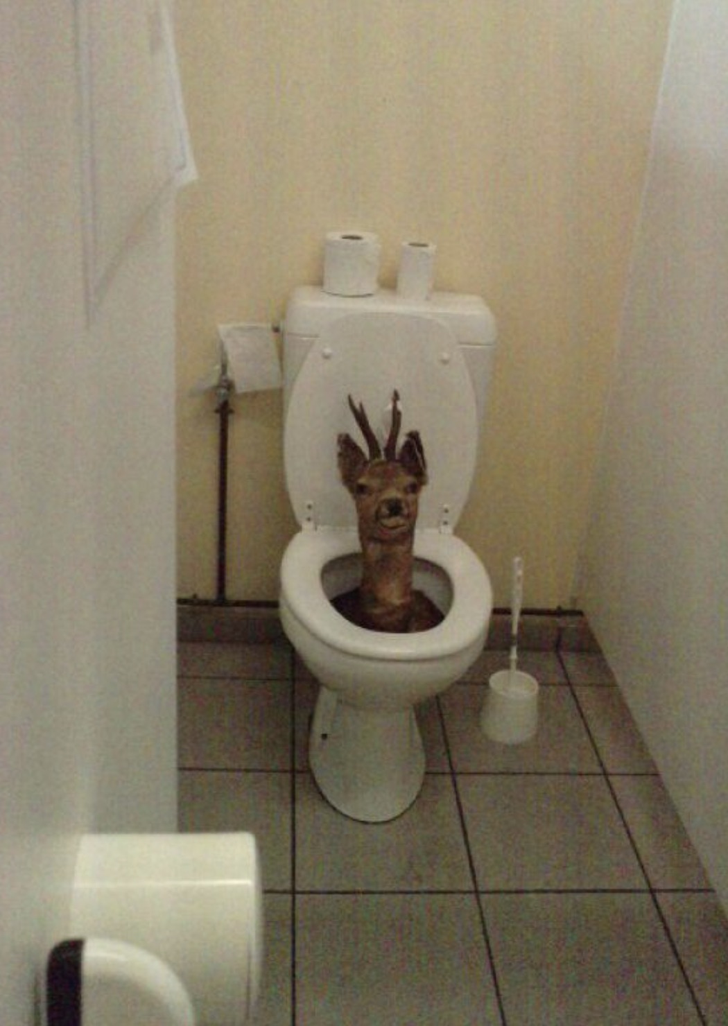 deer in toilet meme